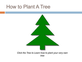 How to Plant A Tree
Click the Tree to Learn how to plant your very own
tree
 