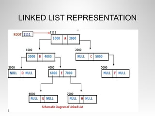 LINKED LIST REPRESENTATION
 