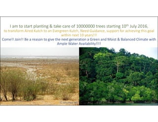 I am to start planting & take care of 10000000 trees starting 10th July 2016,
to transform Aired Kutch to an Evergreen Kutch, Need Guidance, support for achieving this goal
within next 10 years!!!
Come!! Join!! Be a reason to give the next generation a Green and Moist & Balanced Climate with
Ample Water Availability!!!!
09/06/2016 1
 