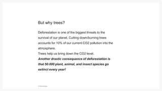 © Hello Monday
But why trees?
Deforestation is one of the biggest threats to the
survival of our planet. Cutting down/burning trees
accounts for 10% of our current CO2 pollution into the
atmosphere.
Trees help us bring down the CO2 level.
Another drastic consequence of deforestation is
that 50.000 plant, animal, and insect species go
extinct every year!
 