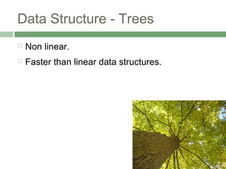 Trees - Non Linear Data Structure | PPT