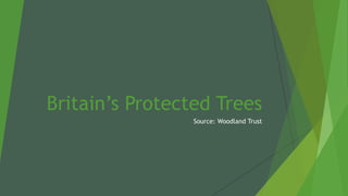 Britain’s Protected Trees
Source: Woodland Trust
 