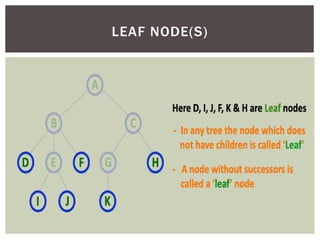 LEAF NODE(S)
 