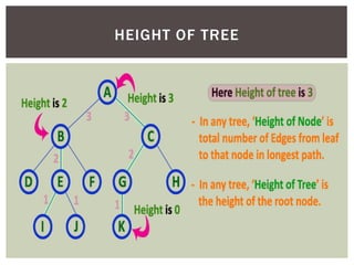 HEIGHT OF TREE
 