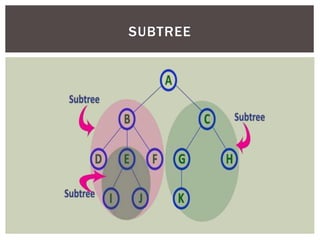 SUBTREE
 