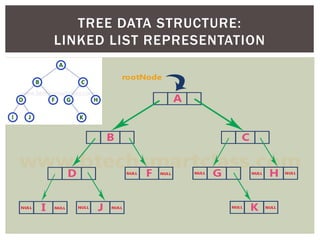 TREE DATA STRUCTURE:
LINKED LIST REPRESENTATION
 