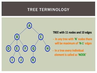 TREE TERMINOLOGY
 