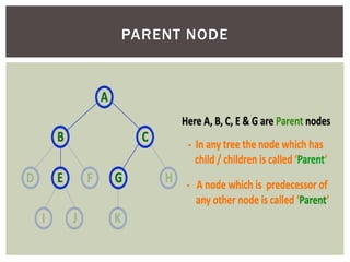PARENT NODE
 