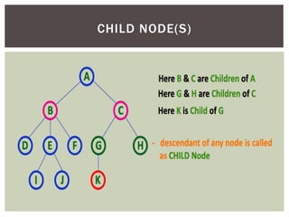 CHILD NODE(S)
 