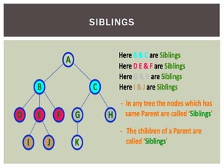 SIBLINGS
 
