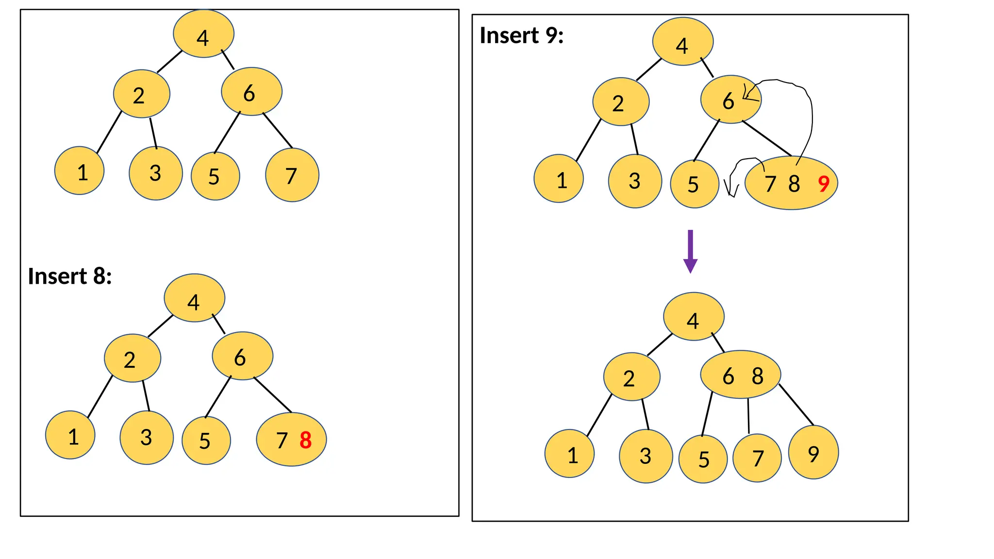 Insert 8:
4
2 6
1 5 7
3
4
2 6
1 5 7 8
3
Insert 9: 4
2 6
1 5 7 8 9
3
4
2 6 8
1 5 9
3 7
 