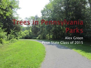 Alex Green
Penn State Class of 2015
 
