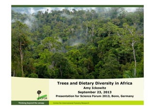 Trees and Dietary Diversity in Africa
Amy Ickowitz
September 23, 2013
Presentation for Science Forum 2013, Bonn, Germany

 