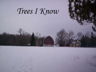 Trees I Know 