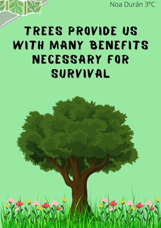 TREES PROVIDE US
WITH MANY BENEFITS
NECESSARY FOR
SURVIVAL
Noa Durán 3ºC
 