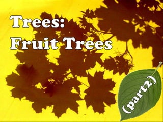 Trees:Fruit Trees (part2)  
