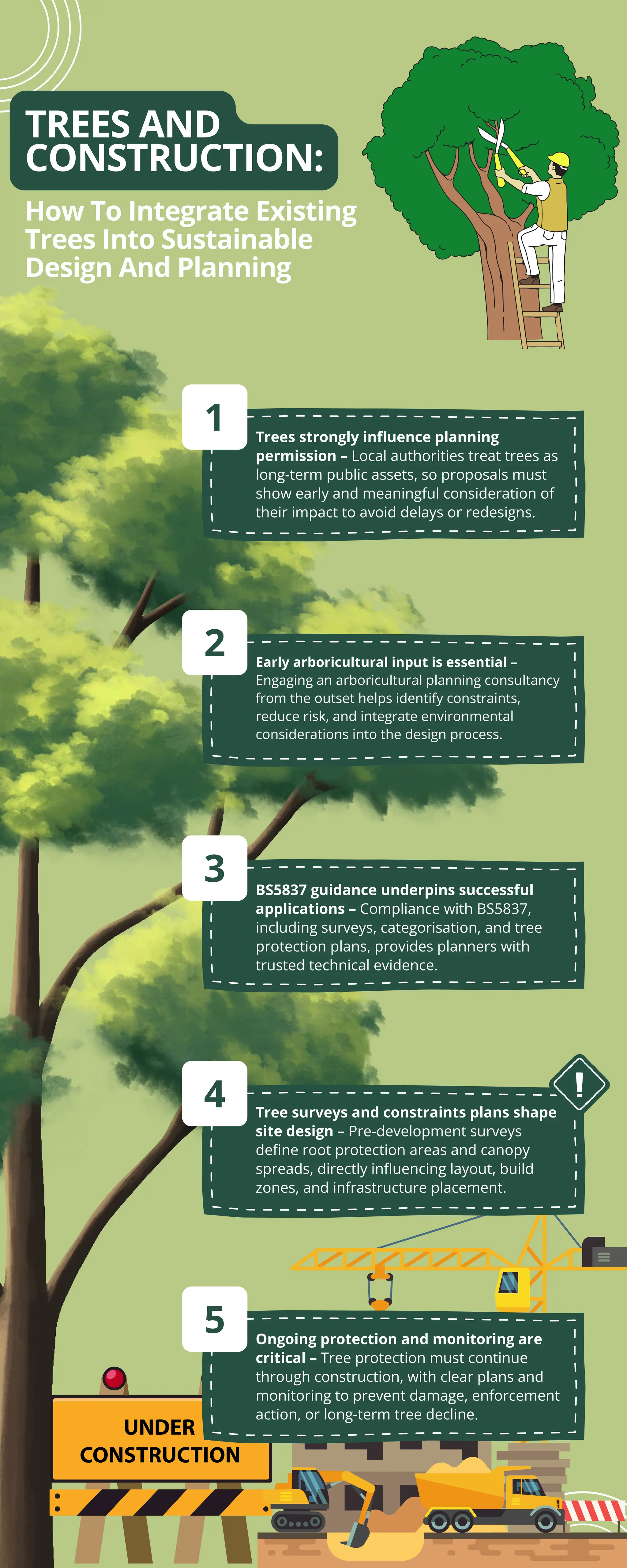 Trees And Construction: How To Integrate Existing Trees Into ...