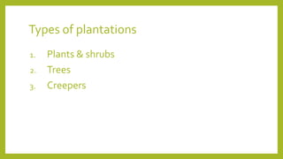 Types of plantations
1. Plants & shrubs
2. Trees
3. Creepers
 