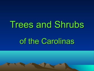 Trees and ShrubsTrees and Shrubs
of the Carolinasof the Carolinas
 
