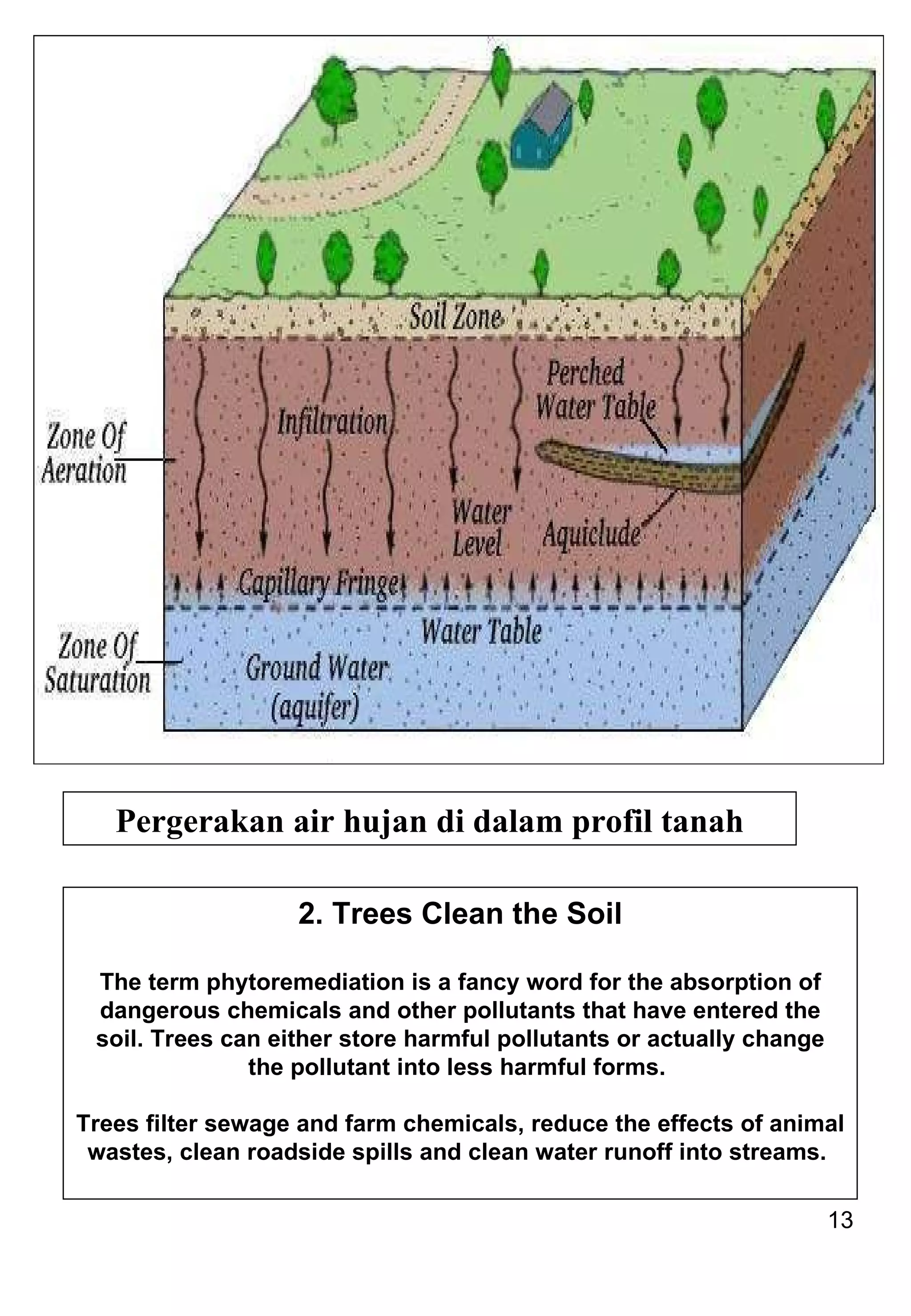Pergerakan air hujan di dalam profil tanah 2. Trees Clean the Soil The term phytoremediation is a fancy word for the absorption of dangerous chemicals and other pollutants that have entered the soil. Trees can either store harmful pollutants or actually change the pollutant into less harmful forms.  Trees filter sewage and farm chemicals, reduce the effects of animal wastes, clean roadside spills and clean water runoff into streams.  