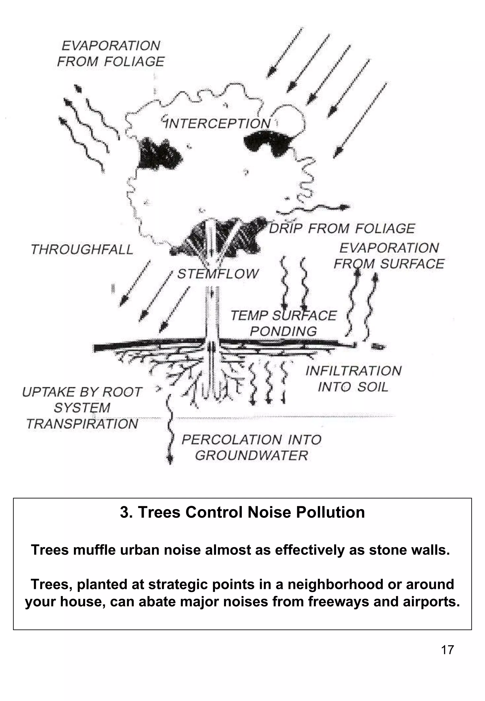 3. Trees Control Noise Pollution Trees muffle urban noise almost as effectively as stone walls.  Trees, planted at strategic points in a neighborhood or around your house, can abate major noises from freeways and airports. 