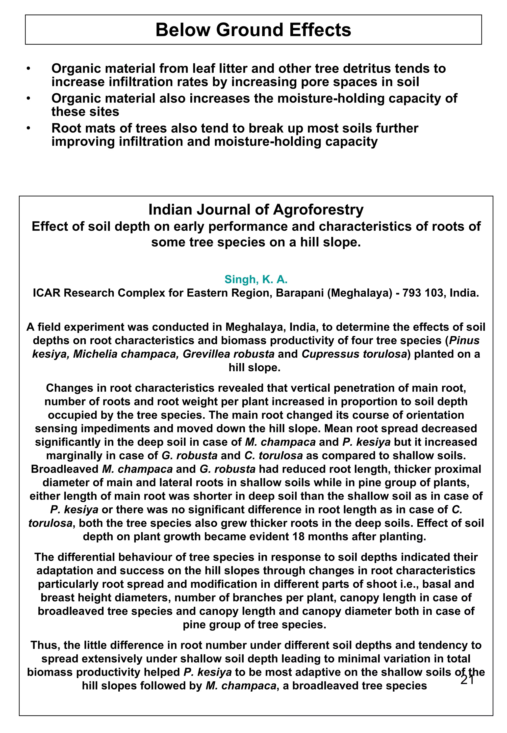Below Ground Effects Organic material from leaf litter and other tree detritus tends to increase infiltration rates by increasing pore spaces in soil Organic material also increases the moisture-holding capacity of these sites Root mats of trees also tend to break up most soils further improving infiltration and moisture-holding capacity Indian Journal of Agroforestry Effect of soil depth on early performance and characteristics of roots of some tree species on a hill slope. Singh, K. A. ICAR Research Complex for Eastern Region, Barapani (Meghalaya) - 793 103, India. A field experiment was conducted in Meghalaya, India, to determine the effects of soil depths on root characteristics and biomass productivity of four tree species ( Pinus kesiya, Michelia champaca, Grevillea robusta  and  Cupressus torulosa ) planted on a hill slope.  Changes in root characteristics revealed that vertical penetration of main root, number of roots and root weight per plant increased in proportion to soil depth occupied by the tree species. The main root changed its course of orientation sensing impediments and moved down the hill slope. Mean root spread decreased significantly in the deep soil in case of  M. champaca  and  P. kesiya  but it increased marginally in case of  G. robusta  and  C. torulosa  as compared to shallow soils. Broadleaved  M. champaca  and  G. robusta  had reduced root length, thicker proximal diameter of main and lateral roots in shallow soils while in pine group of plants, either length of main root was shorter in deep soil than the shallow soil as in case of  P. kesiya  or there was no significant difference in root length as in case of  C. torulosa , both the tree species also grew thicker roots in the deep soils. Effect of soil depth on plant growth became evident 18 months after planting.  The differential behaviour of tree species in response to soil depths indicated their adaptation and success on the hill slopes through changes in root characteristics particularly root spread and modification in different parts of shoot i.e., basal and breast height diameters, number of branches per plant, canopy length in case of broadleaved tree species and canopy length and canopy diameter both in case of pine group of tree species.  Thus, the little difference in root number under different soil depths and tendency to spread extensively under shallow soil depth leading to minimal variation in total biomass productivity helped  P. kesiya  to be most adaptive on the shallow soils of the hill slopes followed by  M. champaca , a broadleaved tree species  