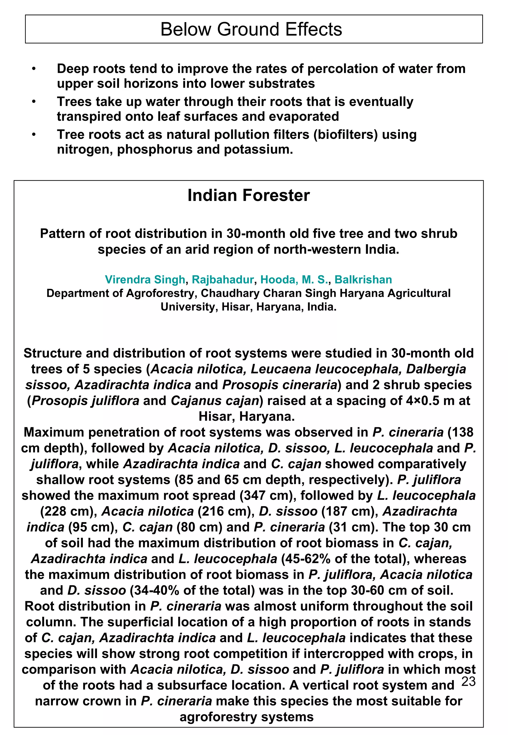 Below Ground Effects  Deep roots tend to improve the rates of percolation of water from upper soil horizons into lower substrates Trees take up water through their roots that is eventually transpired onto leaf surfaces and evaporated  Tree roots act as natural pollution filters (biofilters) using nitrogen, phosphorus and potassium. Indian Forester Pattern of root distribution in 30-month old five tree and two shrub species of an arid region of north-western India. Virendra Singh ,  Rajbahadur ,  Hooda, M. S. ,  Balkrishan Department of Agroforestry, Chaudhary Charan Singh Haryana Agricultural University, Hisar, Haryana, India. Structure and distribution of root systems were studied in 30-month old trees of 5 species ( Acacia nilotica, Leucaena leucocephala, Dalbergia sissoo, Azadirachta indica  and  Prosopis cineraria ) and 2 shrub species ( Prosopis juliflora  and  Cajanus cajan ) raised at a spacing of 4×0.5 m at Hisar, Haryana.  Maximum penetration of root systems was observed in  P. cineraria  (138 cm depth), followed by  Acacia nilotica, D. sissoo, L. leucocephala  and  P. juliflora , while  Azadirachta indica  and  C. cajan  showed comparatively shallow root systems (85 and 65 cm depth, respectively).  P. juliflora  showed the maximum root spread (347 cm), followed by  L. leucocephala  (228 cm),  Acacia nilotica  (216 cm),  D. sissoo  (187 cm),  Azadirachta indica  (95 cm),  C. cajan  (80 cm) and  P. cineraria  (31 cm). The top 30 cm of soil had the maximum distribution of root biomass in  C. cajan, Azadirachta indica  and  L. leucocephala  (45-62% of the total), whereas the maximum distribution of root biomass in  P. juliflora, Acacia nilotica  and  D. sissoo  (34-40% of the total) was in the top 30-60 cm of soil.  Root distribution in  P. cineraria  was almost uniform throughout the soil column. The superficial location of a high proportion of roots in stands of  C. cajan, Azadirachta indica  and  L. leucocephala  indicates that these species will show strong root competition if intercropped with crops, in comparison with  Acacia nilotica, D. sissoo  and  P. juliflora  in which most of the roots had a subsurface location. A vertical root system and narrow crown in  P. cineraria  make this species the most suitable for agroforestry systems  