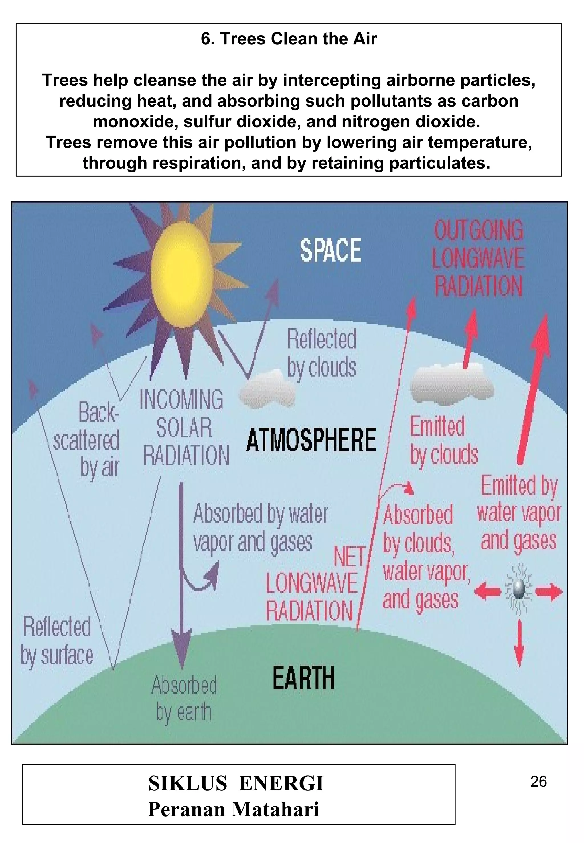 SIKLUS  ENERGI  Peranan Matahari  6. Trees Clean the Air Trees help cleanse the air by intercepting airborne particles, reducing heat, and absorbing such pollutants as carbon monoxide, sulfur dioxide, and nitrogen dioxide.  Trees remove this air pollution by lowering air temperature, through respiration, and by retaining particulates.  