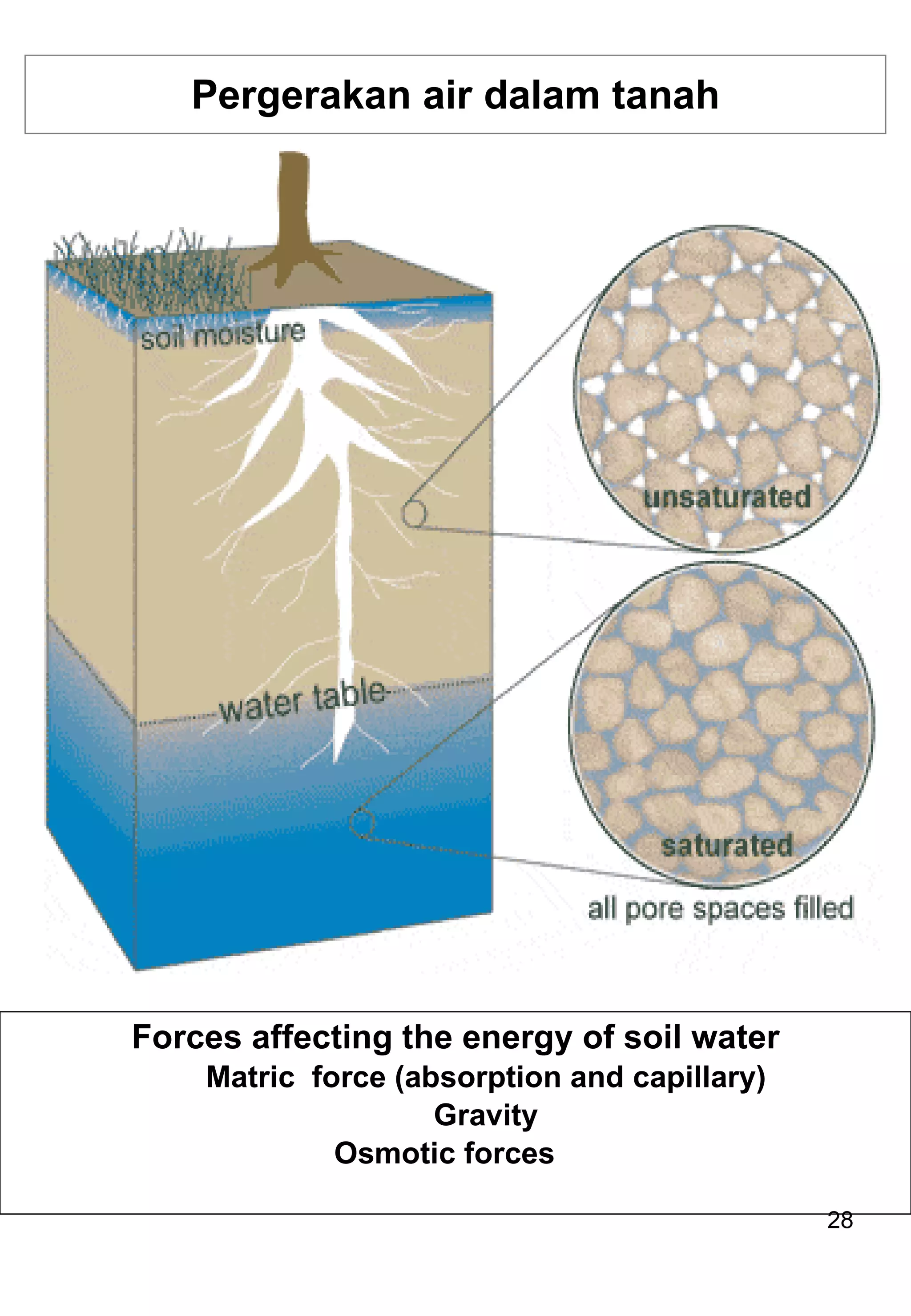 Pergerakan air dalam tanah Forces affecting the energy of soil water Matric  force (absorption and capillary) Gravity Osmotic forces 