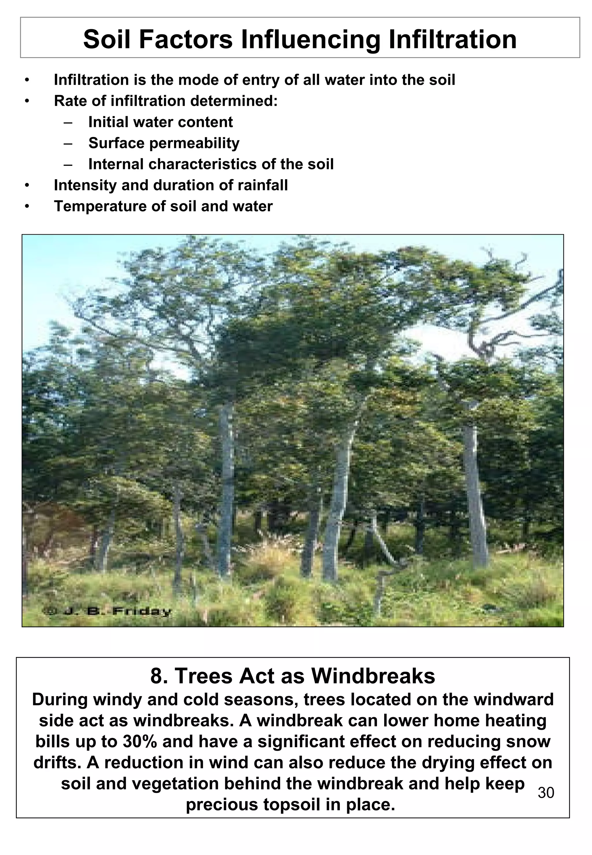 Infiltration is the mode of entry of all water into the soil  Rate of infiltration determined: Initial water content Surface permeability Internal characteristics of the soil Intensity and duration of rainfall Temperature of soil and water Soil Factors Influencing Infiltration 8. Trees Act as Windbreaks During windy and cold seasons, trees located on the windward side act as windbreaks. A windbreak can lower home heating bills up to 30% and have a significant effect on reducing snow drifts. A reduction in wind can also reduce the drying effect on soil and vegetation behind the windbreak and help keep precious topsoil in place.  