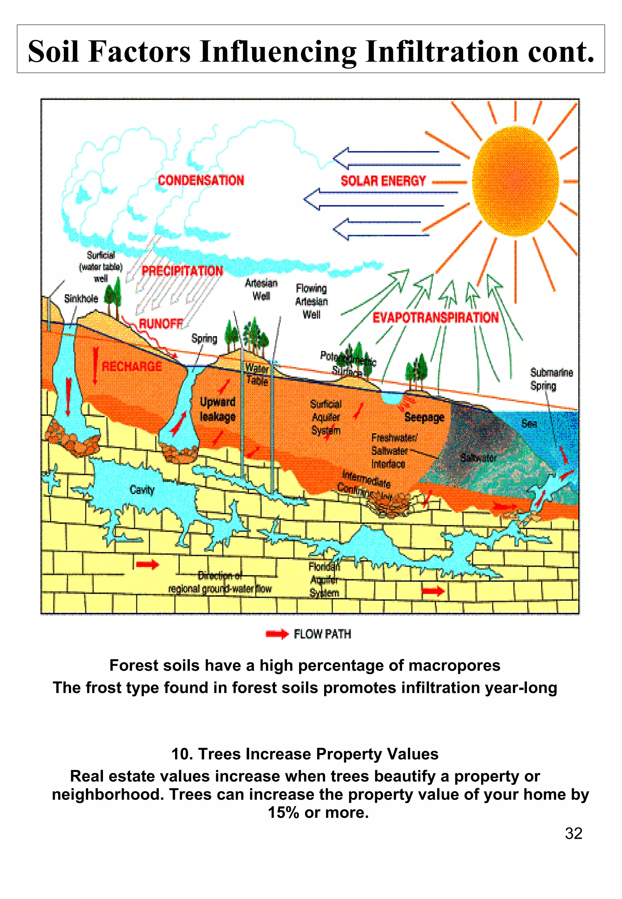 Forest soils have a high percentage of macropores The frost type found in forest soils promotes infiltration year-long 10. Trees Increase Property Values Real estate values increase when trees beautify a property or neighborhood. Trees can increase the property value of your home by 15% or more.   Soil Factors Influencing Infiltration cont. 