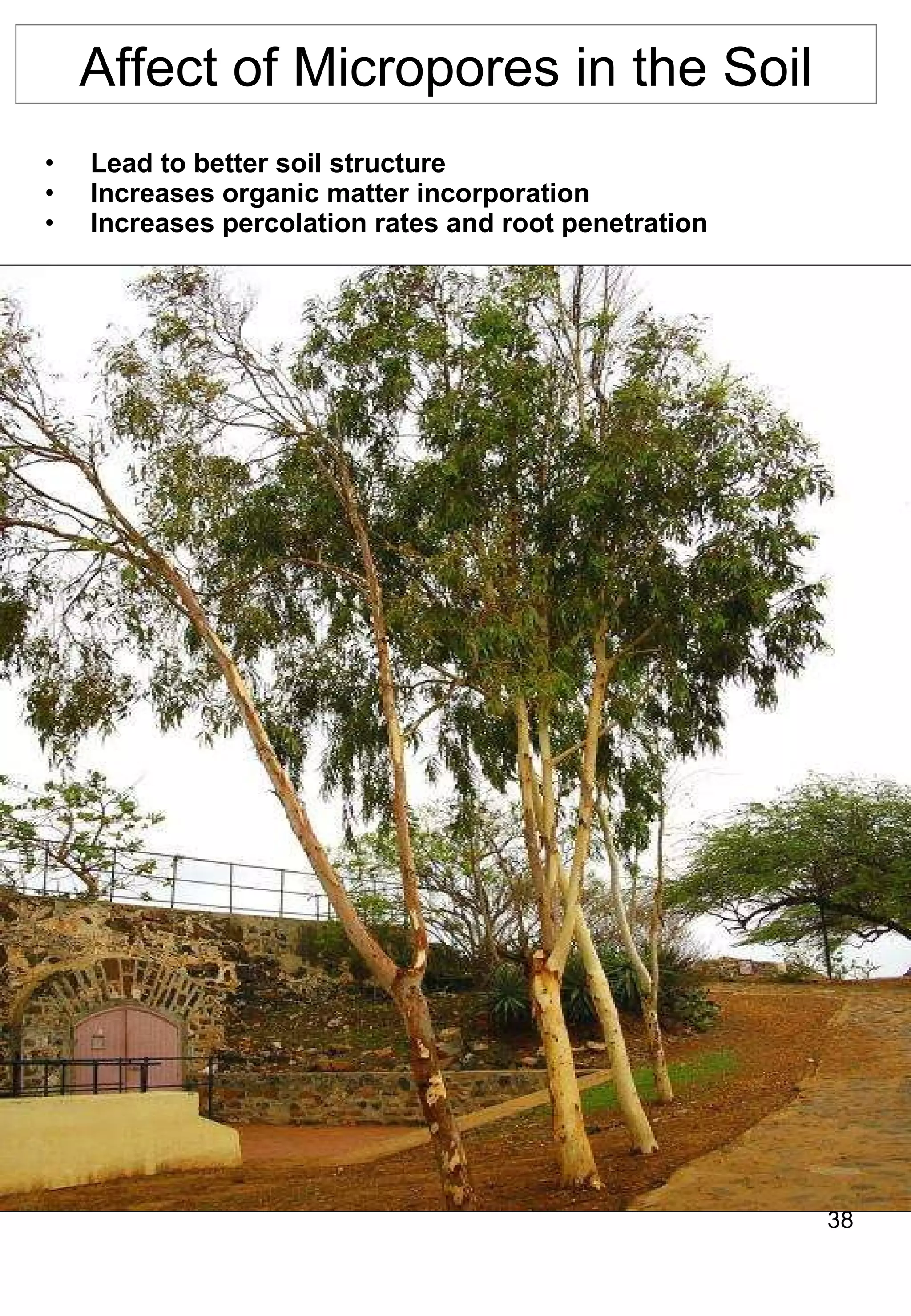 Lead to better soil structure Increases organic matter incorporation Increases percolation rates and root penetration Affect of Micropores in the Soil 