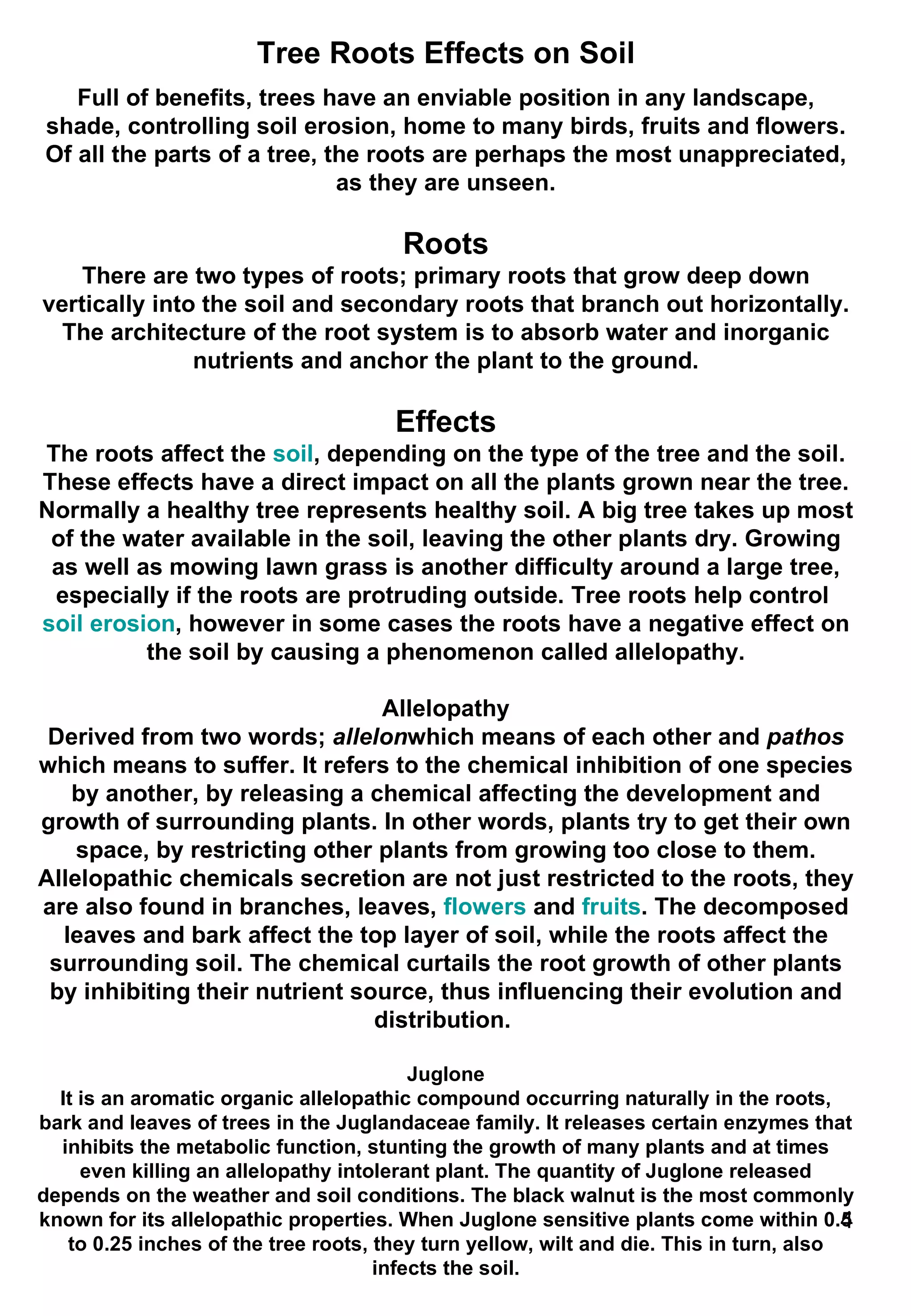 Tree Roots Effects on Soil Full of benefits, trees have an enviable position in any landscape, shade, controlling soil erosion, home to many birds, fruits and flowers. Of all the parts of a tree, the roots are perhaps the most unappreciated, as they are unseen. Roots There are two types of roots; primary roots that grow deep down vertically into the soil and secondary roots that branch out horizontally. The architecture of the root system is to absorb water and inorganic nutrients and anchor the plant to the ground. Effects The roots affect the  soil , depending on the type of the tree and the soil. These effects have a direct impact on all the plants grown near the tree. Normally a healthy tree represents healthy soil. A big tree takes up most of the water available in the soil, leaving the other plants dry. Growing as well as mowing lawn grass is another difficulty around a large tree, especially if the roots are protruding outside. Tree roots help control  soil erosion , however in some cases the roots have a negative effect on the soil by causing a phenomenon called allelopathy. Allelopathy Derived from two words;  allelon which means of each other and  pathos  which means to suffer. It refers to the chemical inhibition of one species by another, by releasing a chemical affecting the development and growth of surrounding plants. In other words, plants try to get their own space, by restricting other plants from growing too close to them. Allelopathic chemicals secretion are not just restricted to the roots, they are also found in branches, leaves,  flowers  and  fruits . The decomposed leaves and bark affect the top layer of soil, while the roots affect the surrounding soil. The chemical curtails the root growth of other plants by inhibiting their nutrient source, thus influencing their evolution and distribution.  Juglone It is an aromatic organic allelopathic compound occurring naturally in the roots, bark and leaves of trees in the Juglandaceae family. It releases certain enzymes that inhibits the metabolic function, stunting the growth of many plants and at times even killing an allelopathy intolerant plant. The quantity of Juglone released depends on the weather and soil conditions. The black walnut is the most commonly known for its allelopathic properties. When Juglone sensitive plants come within 0.5 to 0.25 inches of the tree roots, they turn yellow, wilt and die. This in turn, also infects the soil. 