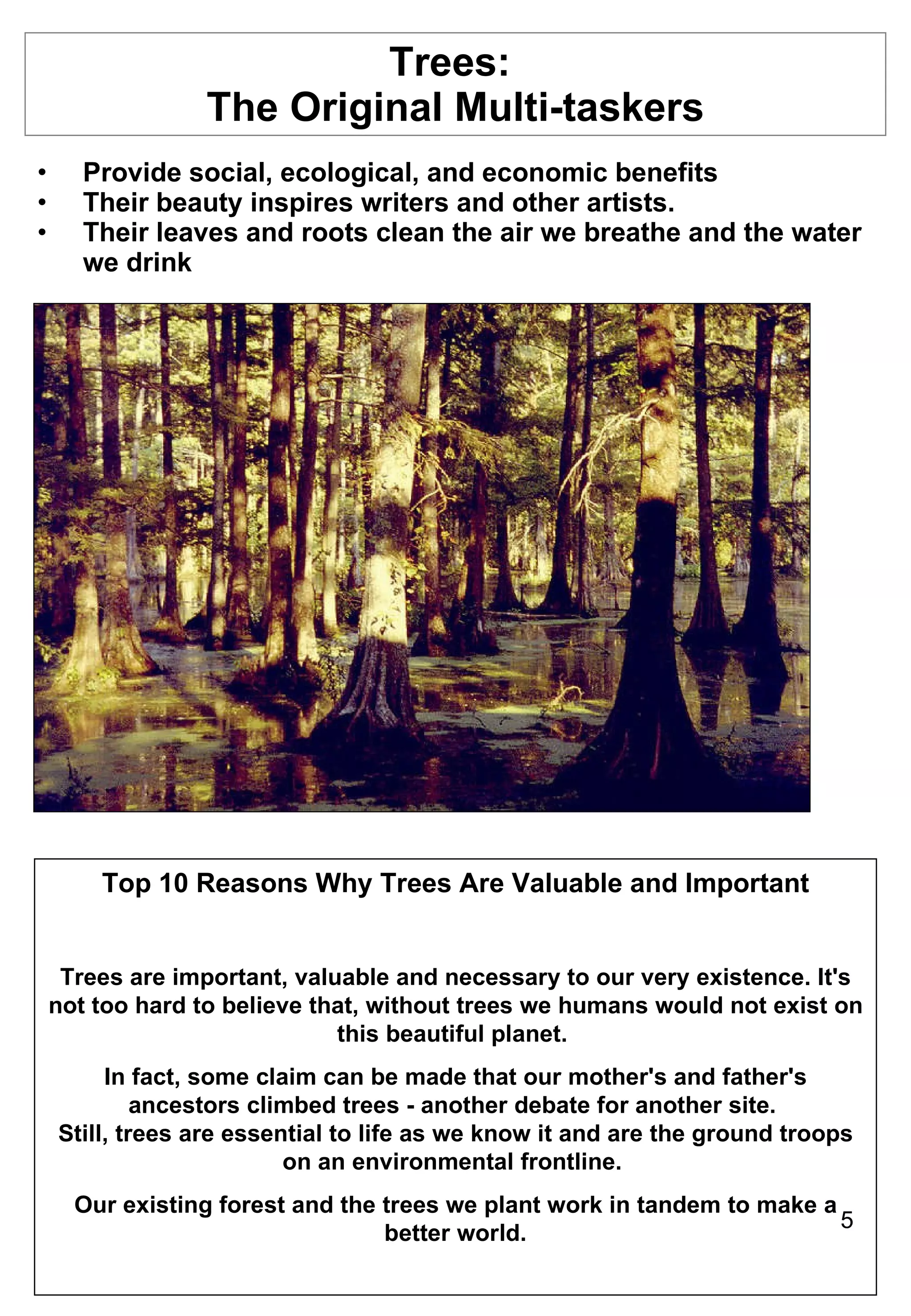 Trees:  The Original Multi-taskers Provide social, ecological, and economic benefits Their beauty inspires writers and other artists. Their leaves and roots clean the air we breathe and the water we drink Top 10 Reasons Why Trees Are Valuable and Important Trees are important, valuable and necessary to our very existence. It's not too hard to believe that, without trees we humans would not exist on this beautiful planet.  In fact, some claim can be made that our mother's and father's ancestors climbed trees - another debate for another site.  Still, trees are essential to life as we know it and are the ground troops on an environmental frontline.  Our existing forest and the trees we plant work in tandem to make a better world. 