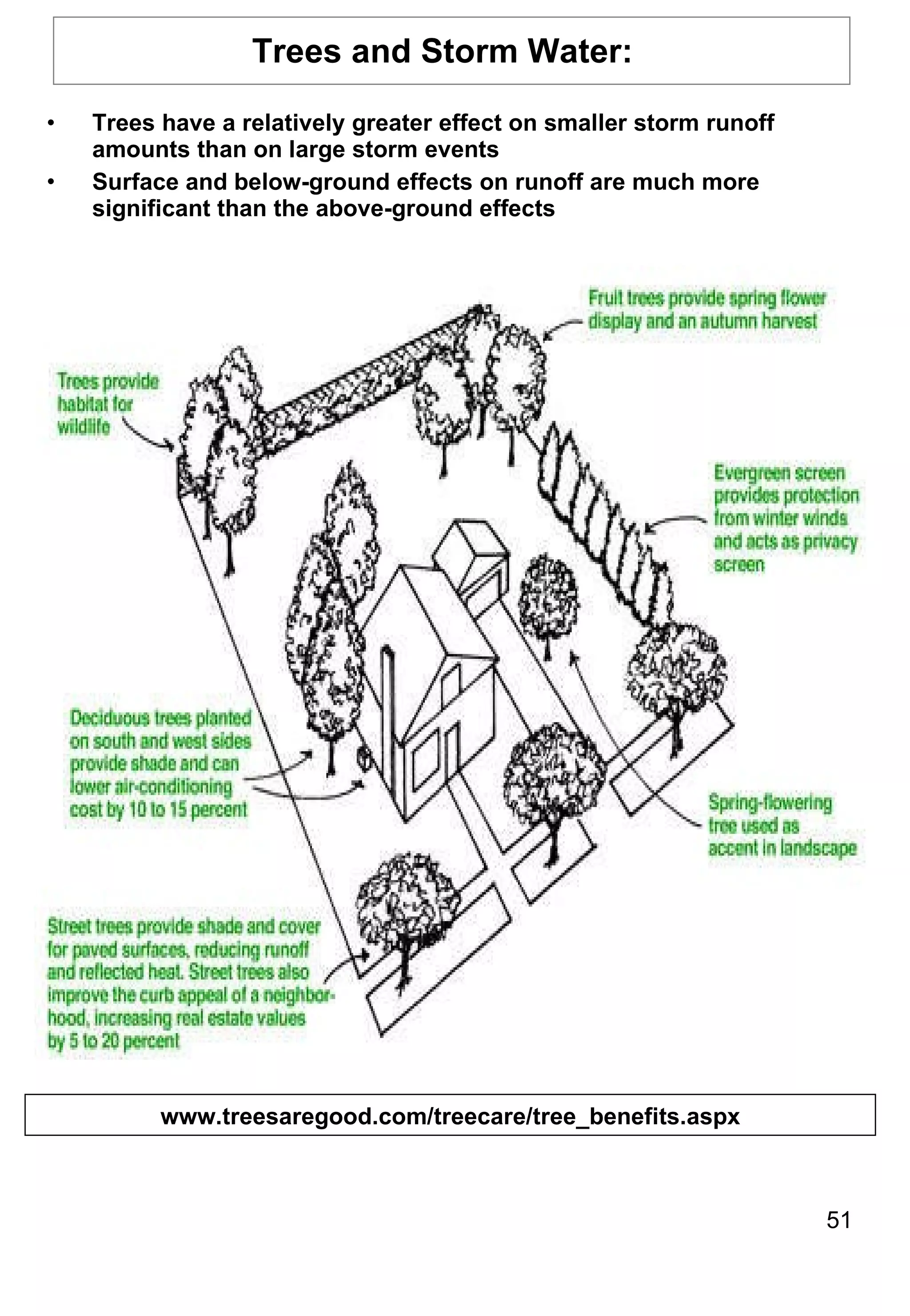 Trees and Storm Water:  Trees have a relatively greater effect on smaller storm runoff amounts than on large storm events Surface and below-ground effects on runoff are much more significant than the above-ground effects www.treesaregood.com/treecare/tree_benefits.aspx 