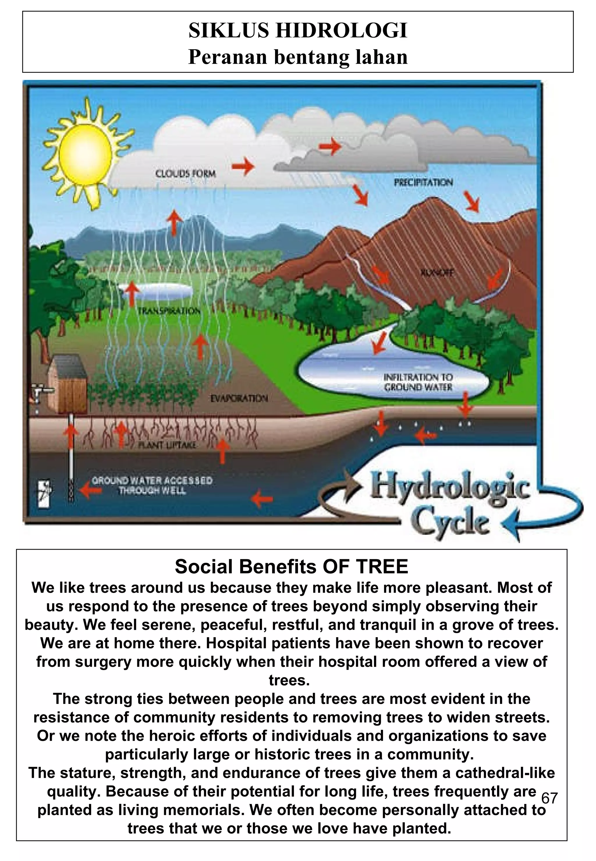 SIKLUS HIDROLOGI Peranan bentang lahan Social Benefits OF TREE We like trees around us because they make life more pleasant. Most of us respond to the presence of trees beyond simply observing their beauty. We feel serene, peaceful, restful, and tranquil in a grove of trees. We are at home there. Hospital patients have been shown to recover from surgery more quickly when their hospital room offered a view of trees.  The strong ties between people and trees are most evident in the resistance of community residents to removing trees to widen streets. Or we note the heroic efforts of individuals and organizations to save particularly large or historic trees in a community.  The stature, strength, and endurance of trees give them a cathedral-like quality. Because of their potential for long life, trees frequently are planted as living memorials. We often become personally attached to trees that we or those we love have planted.  