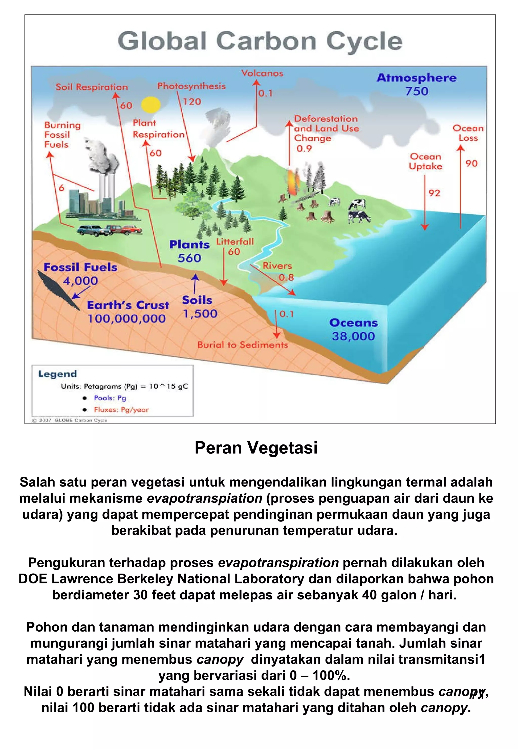 Peran Vegetasi Salah satu peran vegetasi untuk mengendalikan lingkungan termal adalah melalui mekanisme  evapotranspiation  (proses penguapan air dari daun ke udara) yang dapat mempercepat pendinginan permukaan daun yang juga berakibat pada penurunan temperatur udara.  Pengukuran terhadap proses  evapotranspiration  pernah dilakukan oleh DOE Lawrence Berkeley National Laboratory dan dilaporkan bahwa pohon berdiameter 30 feet dapat melepas air sebanyak 40 galon / hari.  Pohon dan tanaman mendinginkan udara dengan cara membayangi dan mungurangi jumlah sinar matahari yang mencapai tanah. Jumlah sinar matahari yang menembus  canopy  dinyatakan dalam nilai transmitansi1 yang bervariasi dari 0 – 100%.  Nilai 0 berarti sinar matahari sama sekali tidak dapat menembus  canopy , nilai 100 berarti tidak ada sinar matahari yang ditahan oleh  canopy . 