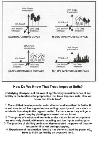 Trees and their role in water management | PPT