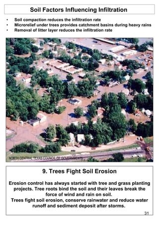 Trees and their role in water management | PPT