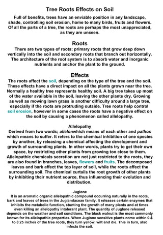Trees and their role in water management | PPT