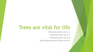 Trees are vital for life
Rameesha saleem roll no. 6
Muhammad nasir roll no.7
Muhammad yasir roll no.8
Hafiz Muhammad iqrar shahid roll no.9
 