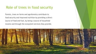 Role of trees in food security
Forests, trees on farms and agroforestry contribute to
food security and improved nutrition by providing a direct
source of food and fuel, by being a source of household
income and through the ecosystem services they provide.
 