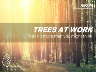 TREES AT WORK
They do more than you might think
Earth Day
2016
 