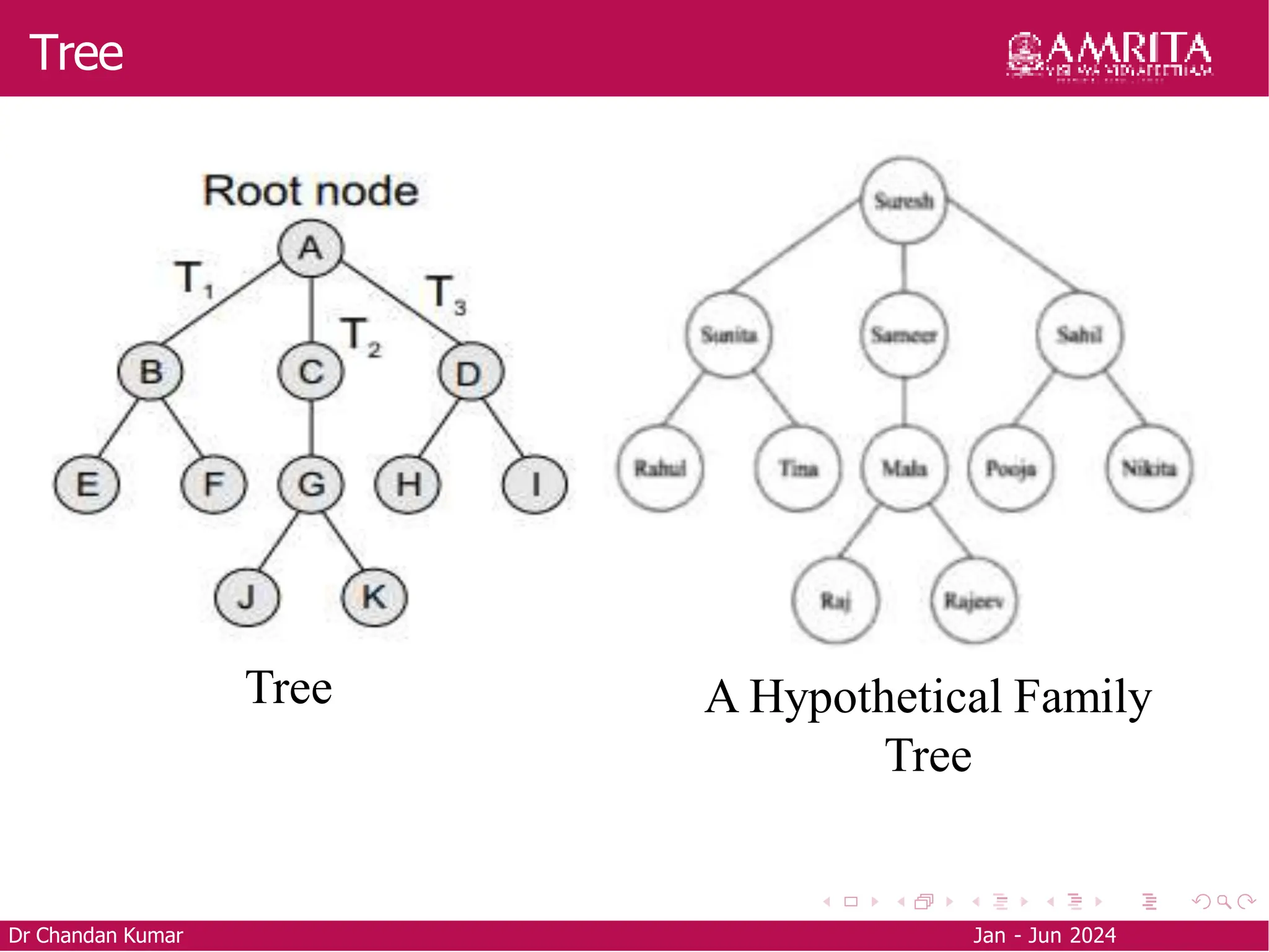 Tree
Dr Chandan Kumar Jan - Jun 2024
Tree A Hypothetical Family
Tree
 
