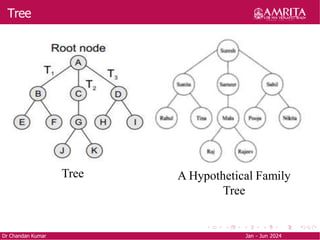 Tree
Dr Chandan Kumar Jan - Jun 2024
Tree A Hypothetical Family
Tree
 