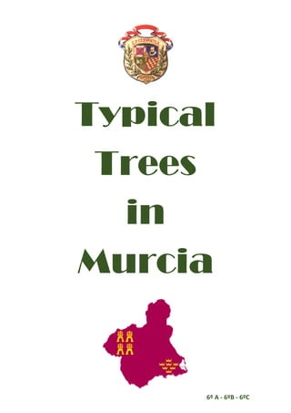 Typical
Trees
in
Murcia
 
 
6º A ‐ 6ºB ‐ 6ºC 
 