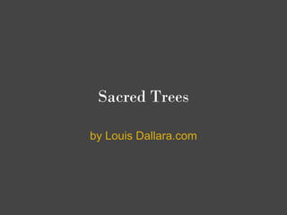 Sacred Trees

by Louis Dallara.com
 