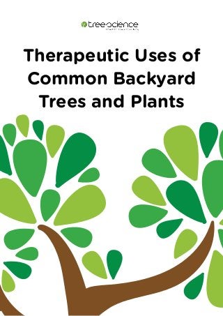 Therapeutic Uses of
Common Backyard
Trees and Plants
 