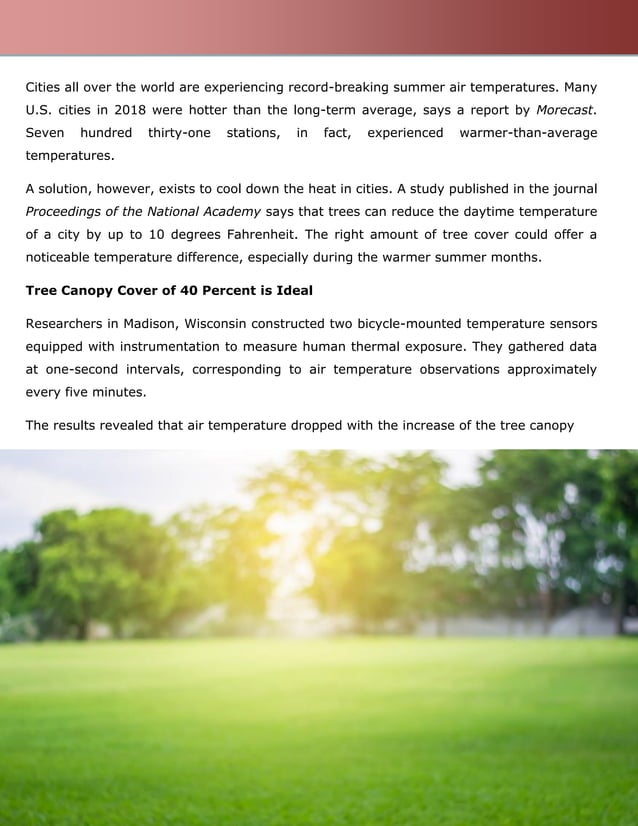 Trees Cool down City Temperatures by 10 Degrees Fahrenheit