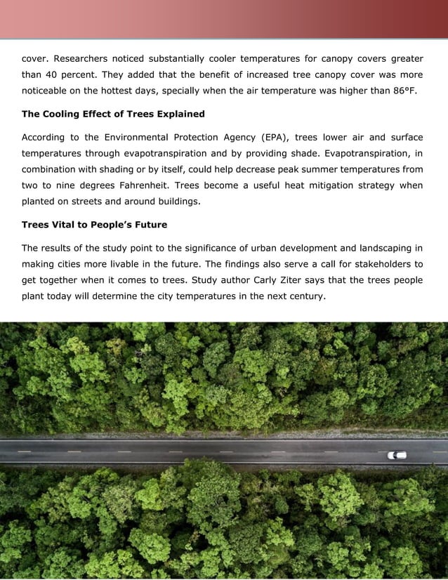 Trees Cool down City Temperatures by 10 Degrees Fahrenheit
